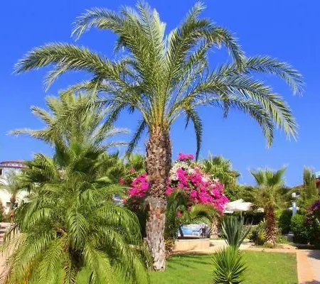 فندق Iskele Seafront Bungalows & Restaurant